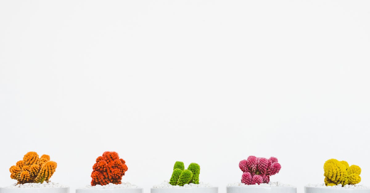 Mastering Life Skills: The Essential Toolkit for Thriving in a Complex World 3 Life-skills-469.jpeg