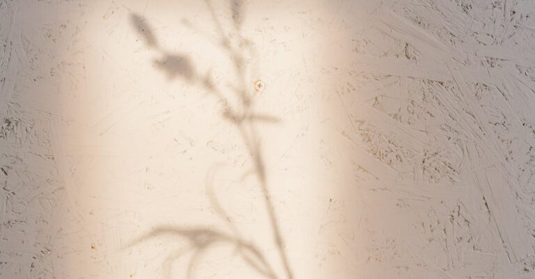 Navigating the Legal Labyrinth: How a Mental Health Attorney Can Advocate for Your Rights