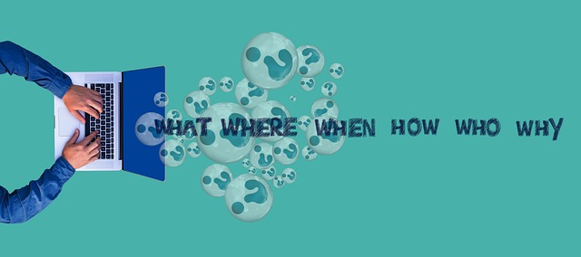 why do leaves change color 4