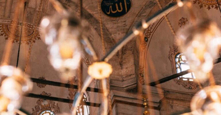 who 4b2506ca36e975012fe5a3773b9c2828